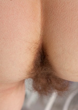 Wearehairy Model